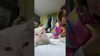 WAP Dubbing by Cat @blackbeauty00000 Funny Tiktok Video