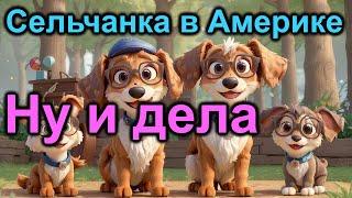 Сельчанка в Америке. Ну и дела