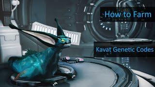 How I farm Kavat Genetic Codes