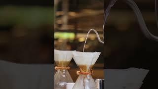 how to make super Consciousness tea  @PeopleVsFood  #viralvideo #shorts #viral