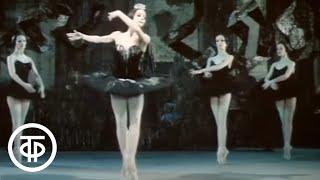 Чайковский "Лебединое озеро" (1983). Большой театр. Серия 2 / Swan Lake. Bessmertnova. Bogatyrev