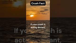 Why Your Crush Is Distant