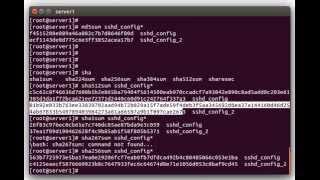 Using File Hashes/Checksums to Compare Files on Linux