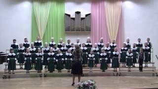 Хор 1 класса. Окружной фестиваль "Звонкие голоса"