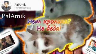 Фокус с кроликом | PalAmik