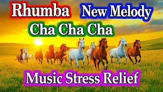 New Rhumba Cha Cha Cha Instrumental Melody - Soothing Music Beautifies the Soul & Stress Relief