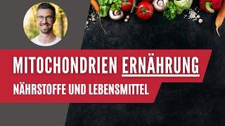 Wie füttere ich ein Mitochondrium? 🫐 Grundlagen der Mitochondrien Ernährung [Studie]