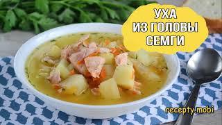 Уха из головы семги