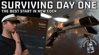 Surviving Your First Day In EVE Echoes!!