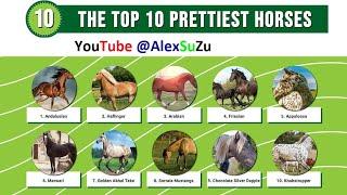 Top 8 The most beautiful thoroughbred #Horses in the world