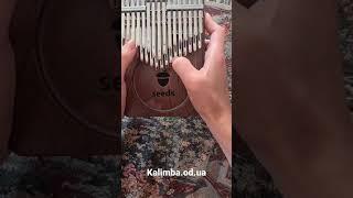 Хроматическая калимба Seeds #калимба #kalimba #kalimbacover #kalimbamusic