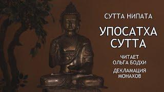 Упосатха сутта. Упосатха. Ангуттара Никая 3.70. Читает Ольга Бодхи / Студия Бодхи