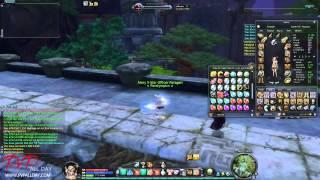 Aion 4.3 Assassin - Tips&Tricks #1  Basic stuff