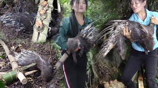 สาวดอย เดินป่าวางกับดักตัวเม่นสุดยอดมากฯ Amazing hunting traps