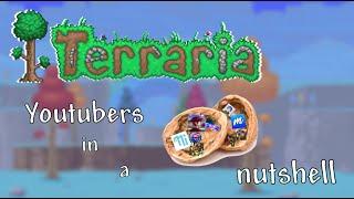 Terraria YouTubers in a nutshell...