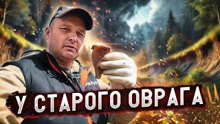 ТАЙНЫ СТАРОГО ОВРАГА: ПОИСК МОНЕТ В НЕОЖИДАННЫХ МЕСТАХ ️