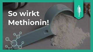 Methionin: DAS solltest Du unbedingt über die Aminosäure wissen!