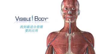 Visible Body | 找到最适合您需要的应用