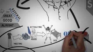 Why The People Of NoFap Become Successful
