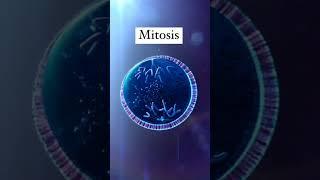 #Mitosis, #Biology ,#Science, #Cell division