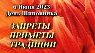 6 Июня 2023 года День Шиповника. Народные приметы, обычаи, запреты и суеверия.