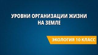 Уровни организации жизни на Земле