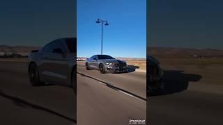 "THIS is Why the GT350 is a BEAST! Brutal Sound & Speed! " #carshorts #modifiedcars #carreels