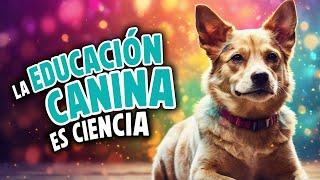 La EDUCACION CANINA es ciencia #comportamientocanino #educacioncanina #adiestramientocanino