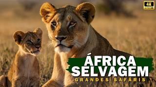 Wild Africa, Great Safaris!** #serengeti #maasaimara #okavango #animals #documentary #wildlife