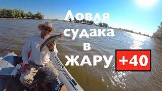 Ловля судака летнюю жару . В тени +40 !! Graphiteleader Vivo Nuovo 842M