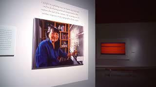 "Sublime Light: Tapestry Art of DY Begay"