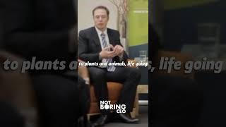 Elon Musk Explains Why We Need To Become A Spacefaring Civilization | Not Boring CEO