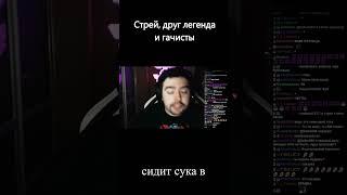 Стрей, друг легенда и гачисты