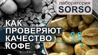 Проверка качества кофе в зёрнах || Лабораторные исследования SORSO