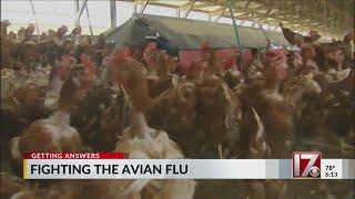 Holly Springs company develops human bird flu vaccine