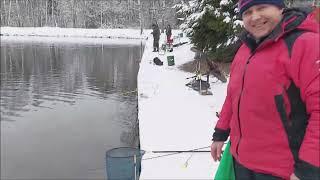 Рыбалка на Нижнем водоёме. Клёвое место Лосиный остров.