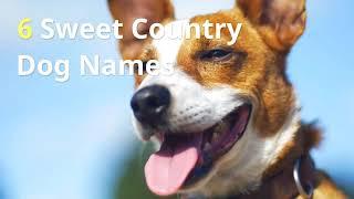 6 Sweet Country Dog Names