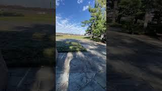 Discover the Hidden Gem of Washington DC: Lyndon B Johnson Park with Great Washington Monument Views