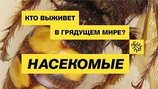 Насекомые в грядущем мире. Музей «Гараж» в Дарвиновском музее