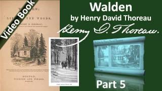 Part 5 - Walden Audiobook by Henry David Thoreau (Chs 12-15)