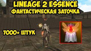 Я копил их целый год в Lineage 2 Essence.