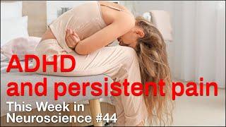 TWiN 44: ADHD and persistent pain