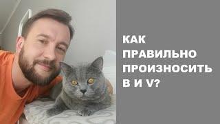 Как правильно читать буквы B и V. Правда ли, что они читаются одинаково?