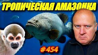 ЛАЗАРЕВСКОЕ 2024. ОКЕАНАРИУМ ТРОПИЧЕСКАЯ АМАЗОНКА. ОТДЫХ НА МОРЕ.