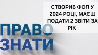 Ви зареєстрували ФОП 2 або 1 групи в 2024 році. Значить вам потрібно здати 2 звіти !!! Інструкція.