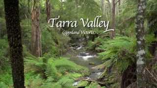 Tarra Valley