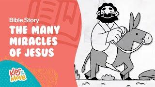 The Many Miracles Jesus