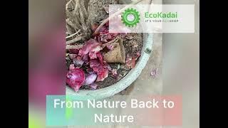 “Revolutionizing the Industry: EcoKadai's Biodegradable Cups" #ecokadai #sustainableliving #teacup