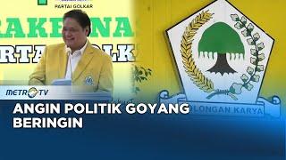 Angin Politik Goyang Beringin