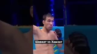 Шавкат Рахмонов vs Хамзат Чимаев бой , кто победит ?